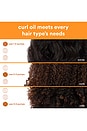 view 8 of 10 Curl Oil in 