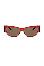 view 1 of 4 Cat Eye Acetate in Transparent Red & Dark Brown