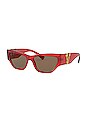 view 2 of 4 Cat Eye Acetate in Transparent Red & Dark Brown