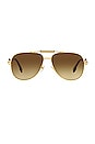 view 1 of 3 Medusapolis Pilot in Gold, Black & Brown Gradient