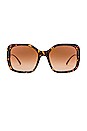 view 1 of 3 Rock Icons Square in Havana, Gold, & Brown Gradient
