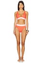 view 4 of 4 New Logo Bikini Bottom in Coral, Dusty Rose & Ivory
