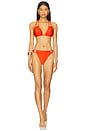 view 7 of 8 Bianca Bikini Bottom in Tangerine