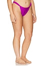 view 4 of 8 Nev Bikini Bottom in Berry