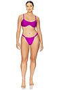 view 8 of 8 Nev Bikini Bottom in Berry