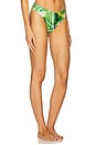 view 2 of 4 Vista Bikini Bottom in Greenery