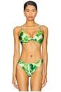 view 1 of 4 Vista Bikini Top in Greenery