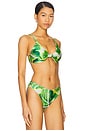 view 2 of 4 Vista Bikini Top in Greenery