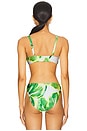 view 3 of 4 Vista Bikini Top in Greenery
