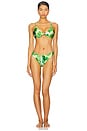 view 4 of 4 Vista Bikini Top in Greenery