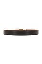 view 5 of 6 CEINTURE in Saddle & Cacao Brown