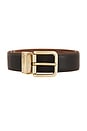view 6 of 6 CEINTURE in Saddle & Cacao Brown