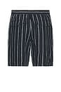 view 2 of 4 Mesa Stripe Beach Shorts in Coastal
