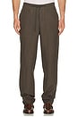 view 3 of 4 Hemp Drawstring Pants in Mangrove