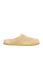 view 1 of 5 Leo Suede Shoe in Camel