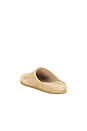 view 4 of 5 Leo Suede Shoe in Camel