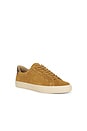 view 2 of 6 SNEAKERS FULTON in Honey Brown