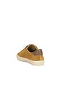 view 4 of 6 SNEAKERS FULTON in Honey Brown