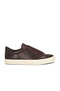 view 1 of 6 SNEAKERS FULTON in Chili Brown