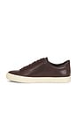 view 6 of 6 SNEAKERS FULTON in Chili Brown