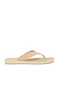 view 1 of 5 Fiji Suede Thong Sandal in New Camel