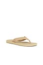 view 2 of 5 Fiji Suede Thong Sandal in New Camel