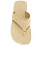 view 5 of 5 Fiji Suede Thong Sandal in New Camel