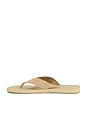 view 6 of 5 Fiji Suede Thong Sandal in New Camel