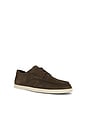 view 2 of 6 Spencer Suede Oxford in Dark Roast