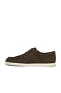 view 5 of 6 Spencer Suede Oxford in Dark Roast
