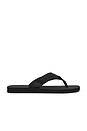 view 1 of 5 CHANCLAS FIJI in Black