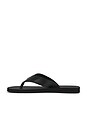 view 5 of 5 CHANCLAS FIJI in Black