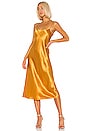 view 1 of 3 Slip Dress in Sienna