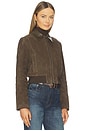 view 3 of 5 Suede Shrunken Bomber in Willow