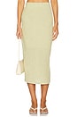 view 1 of 6 Midi Skirt in Herbaria Combo