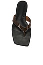 view 4 of 5 San Juan Thong Sandal in Saddle