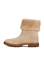 view 6 of 5 Cameron Boot in Tuscan Sand