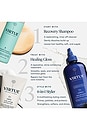 view 10 of 10 BRILLANT CHEVEUX HEALING GLOSS in 