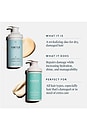 view 4 of 9 Recovery Pro Holiday Duo in 