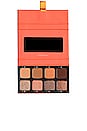 view 1 of 5 Petite Pro 4 Eyeshadow Palette in Apricotine