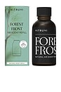 view 1 of 4 Forest Frost Air Scent Refill in 
