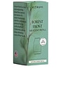 view 3 of 4 Forest Frost Air Scent Refill in 