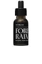 view 2 of 4 Forest Rain Push Scent Refill in 