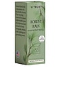 view 3 of 4 Forest Rain Push Scent Refill in 