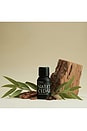 view 3 of 6 Sweet Cedar Essential Oil Blend in 