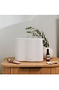 view 2 of 4 УЗЕЛ CLOUD HUMIDIFIER SLEEP BUNDLE in White