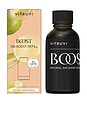 view 1 of 4 ЭФИРНЫЕ МАСЛА BOOST AIR SCENT REFILL in 