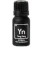 view 2 of 3 Ylang Ylang Essential Oil in 