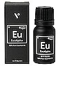 view 3 of 3 Eucalyptus Essential Oil in 