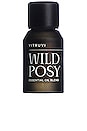 view 1 of 3 Wild Posy Essential Oil Blend in 